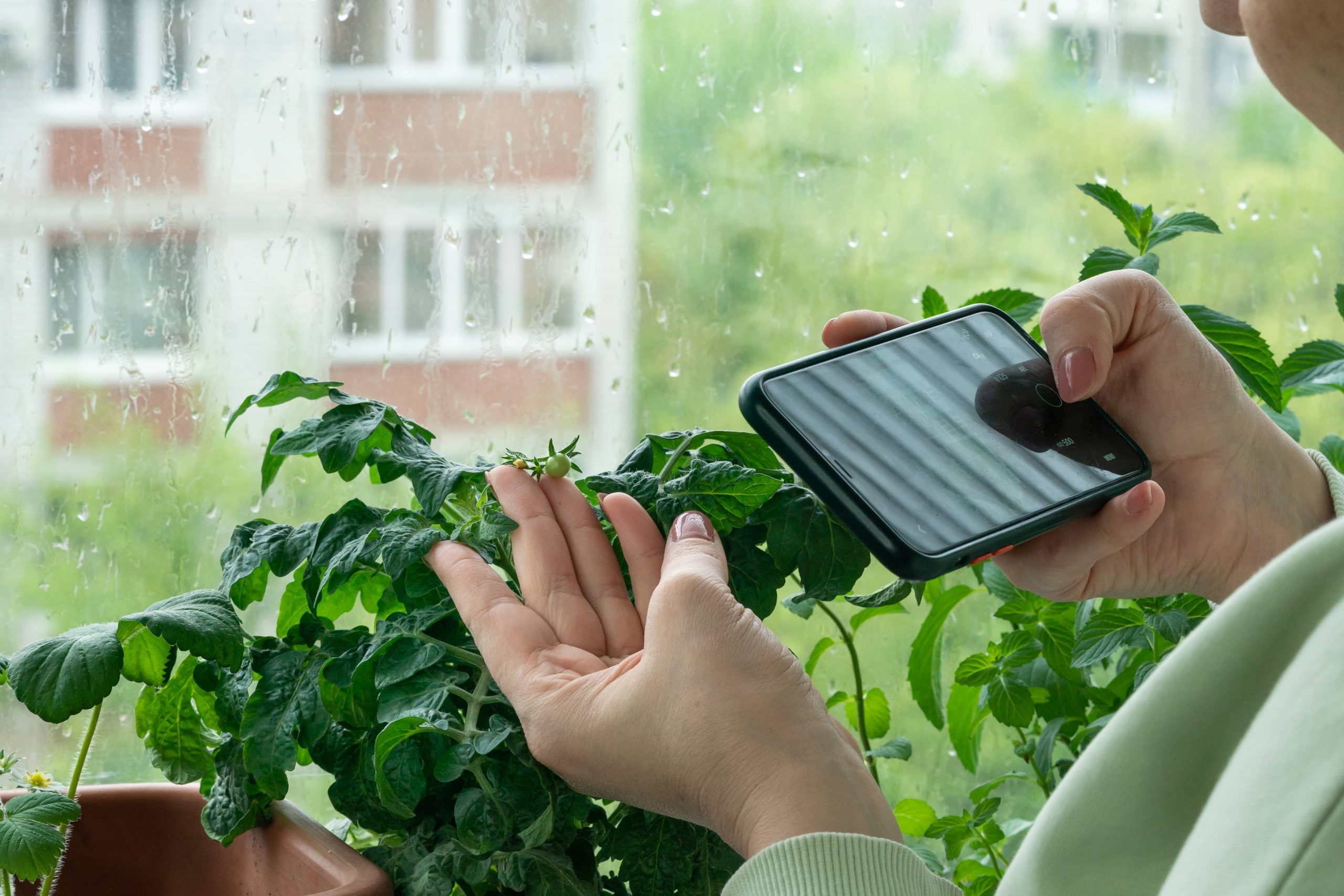 Den Garten für das Frühjahr fit machen