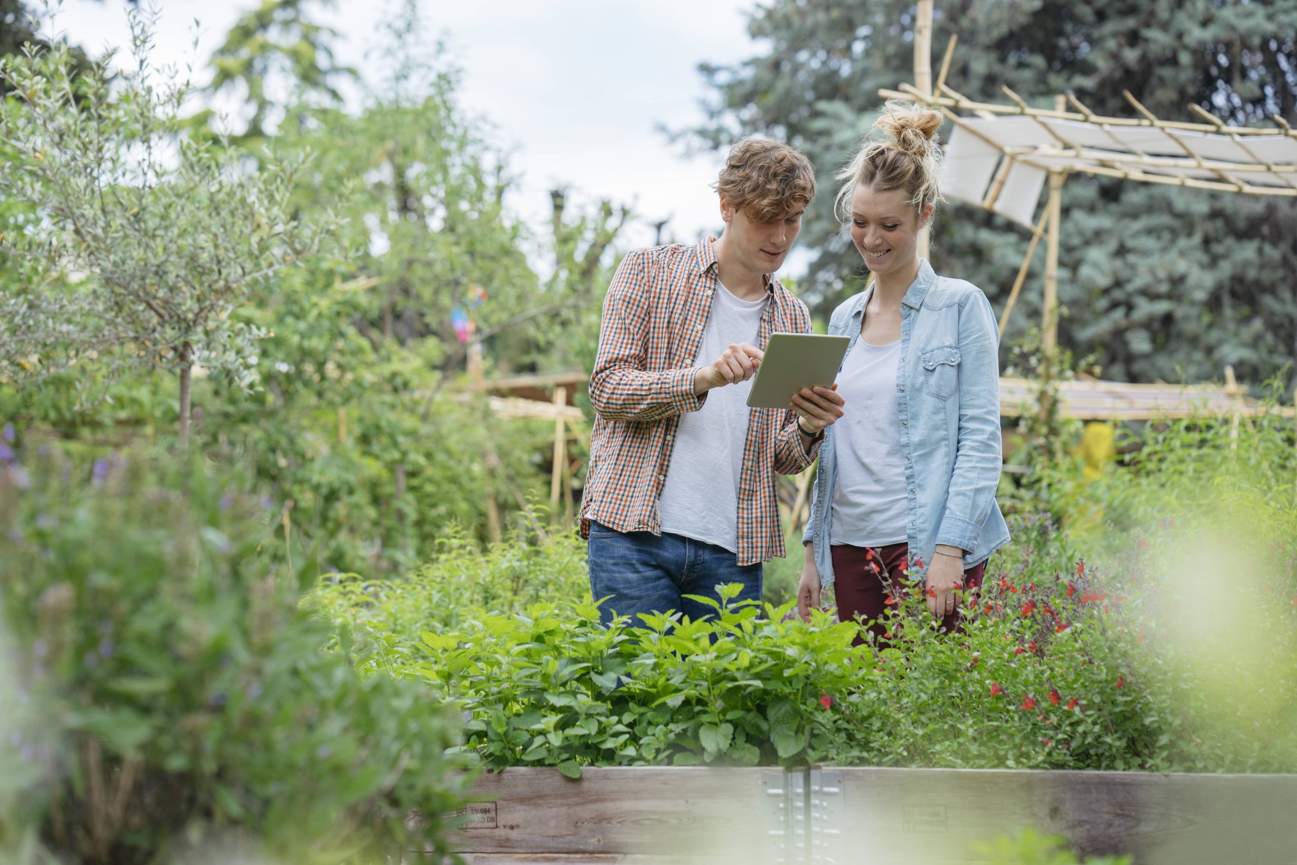 Ein Kräutergarten für frische Aromen