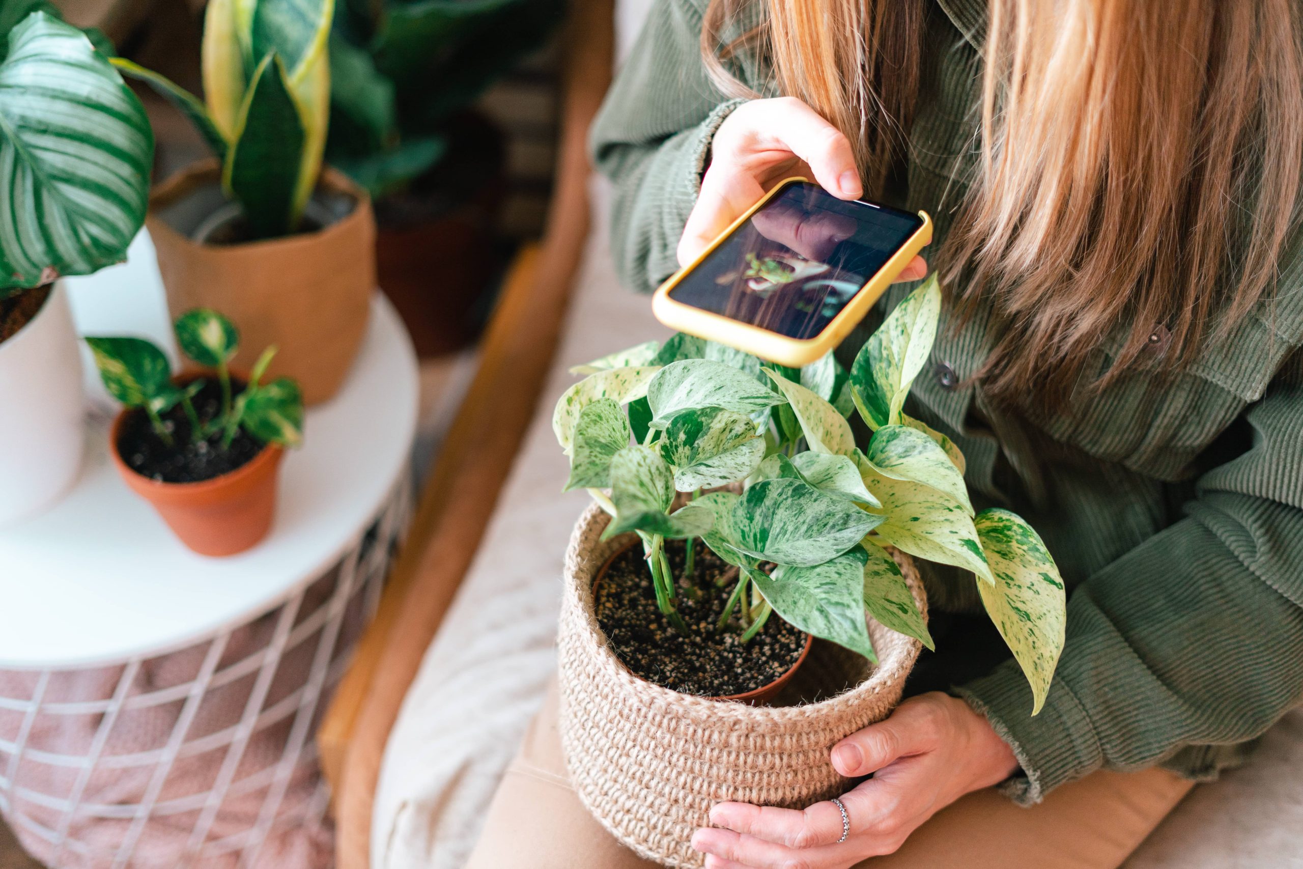 Einbindung von Smart-Gadgets in rustikale Wohnkultur